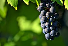 Vinimport