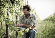Vinproducent