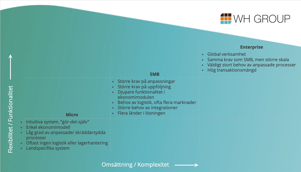 Affärssystem segment