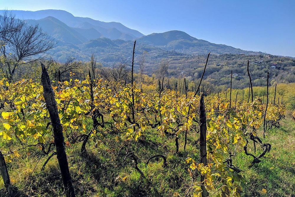 Georgiskt vin