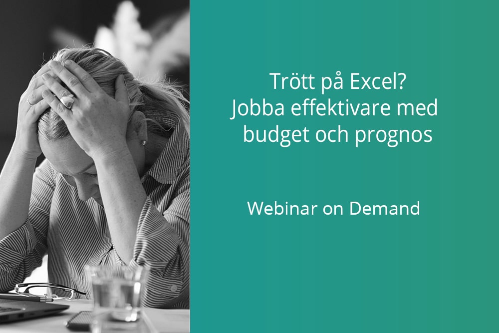Webinar on demand: Effektivare budget och prognos