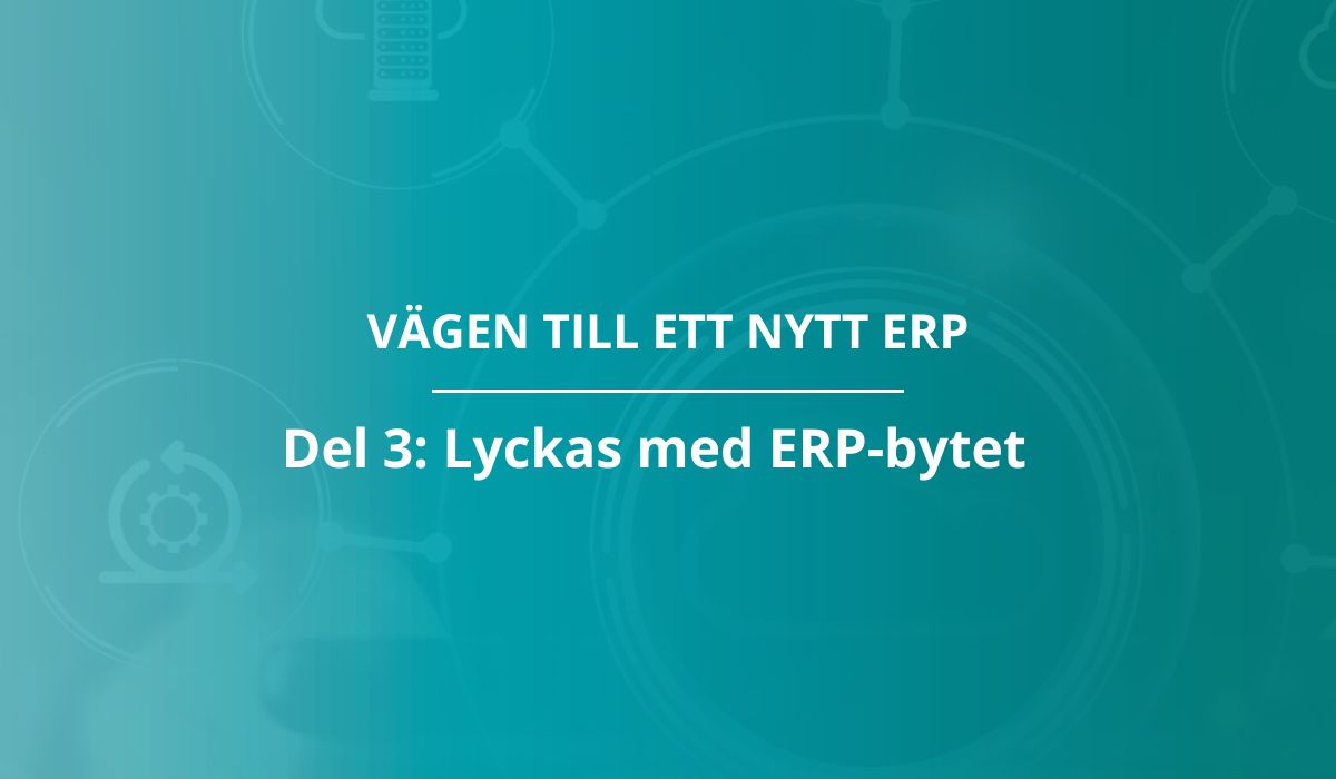 Vägen till ett nytt ERP: del 3